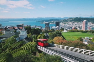 Wellington